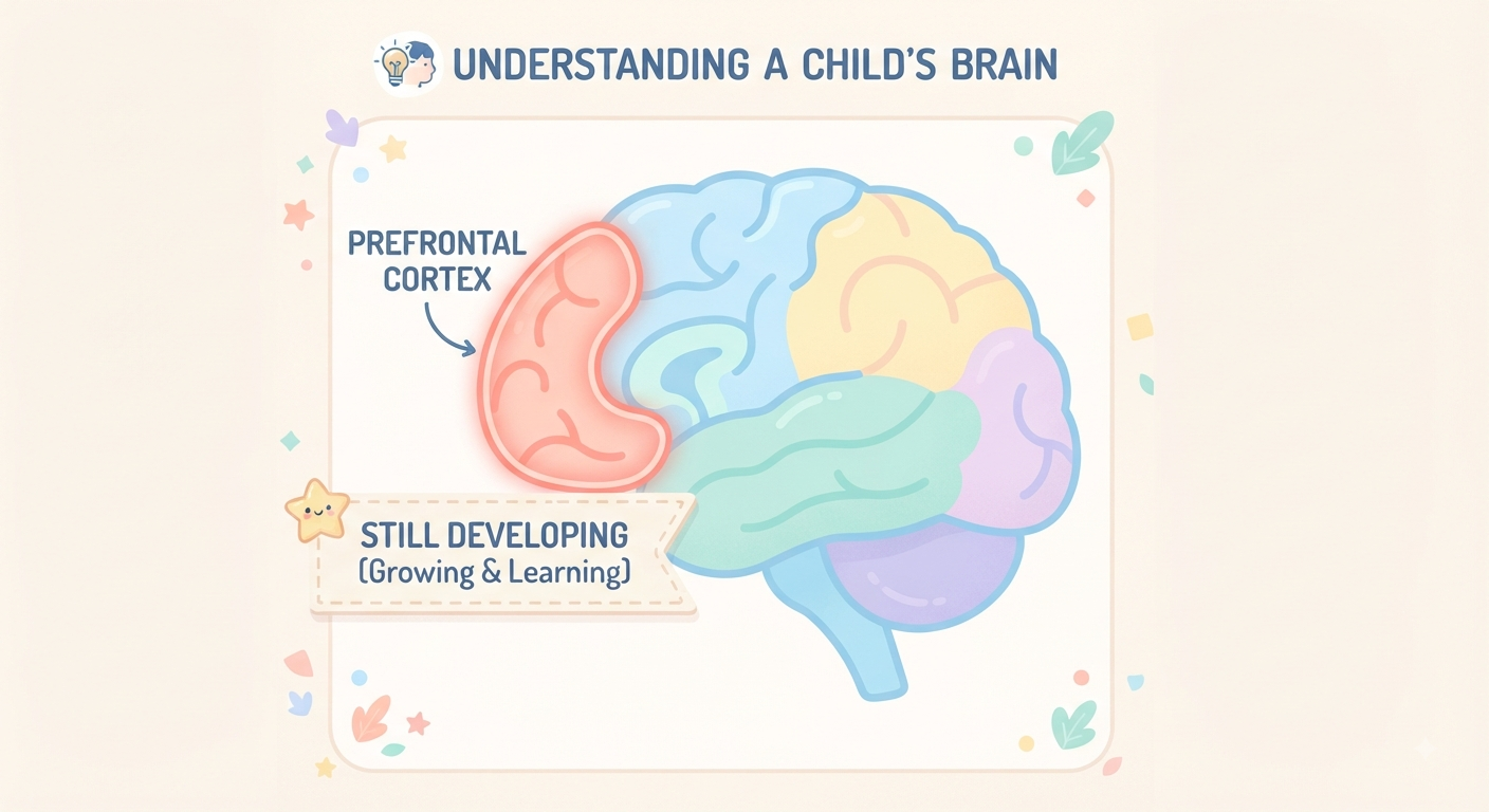 Toddlers, Meltdowns and Brain Development